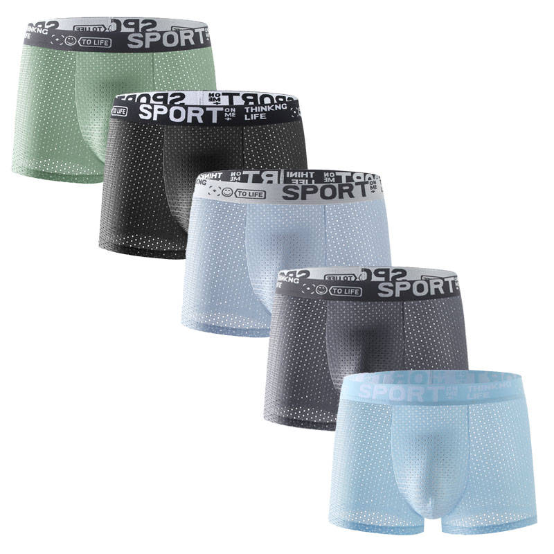 5PCS Men's Ice Silk Mesh Boxer - Mesh Sport Boxer review and price