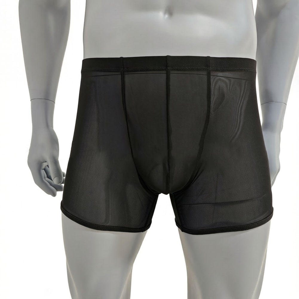 Men Mesh See-through Ultra-thi - Long Leg Trunk Men review and price