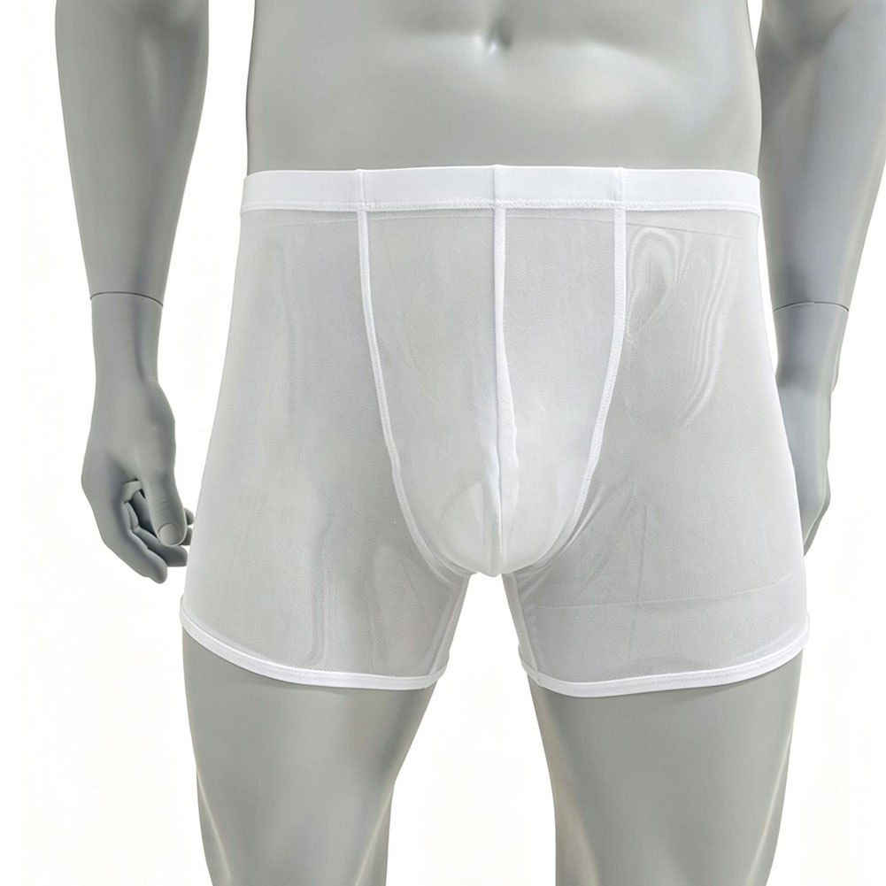 Men Mesh See-through Ultra-thi - Long Leg Trunk Men review and price