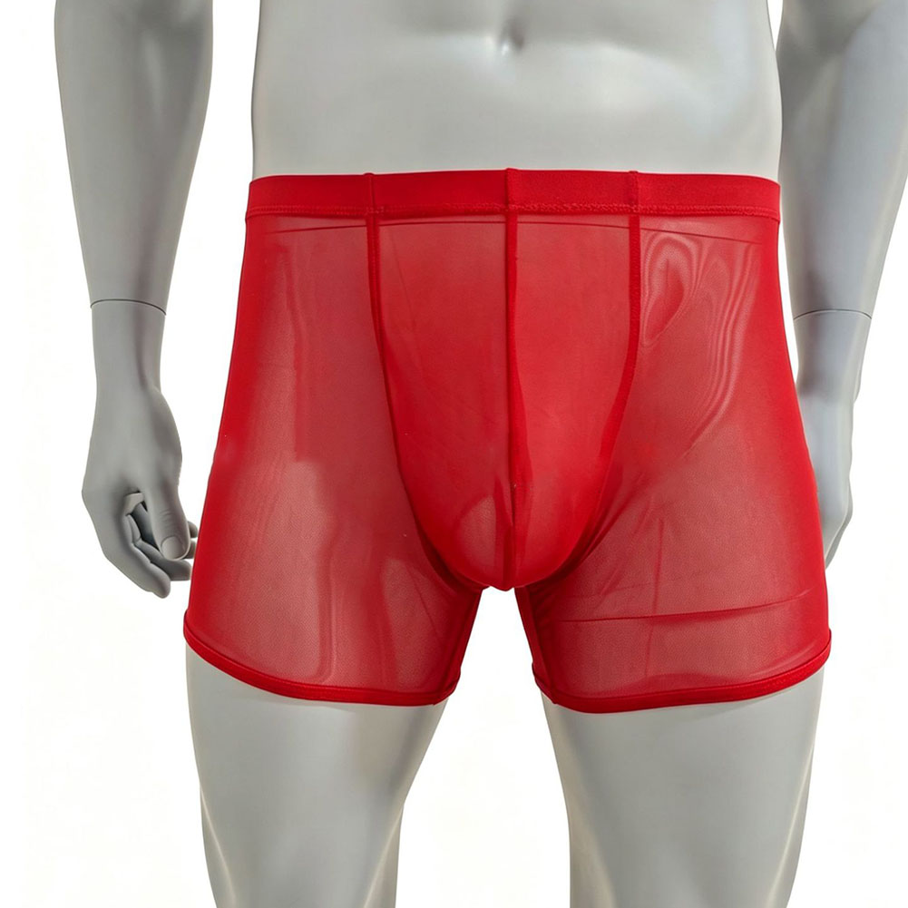 Men Mesh See-through Ultra-thi - Long Leg Trunk Men review and price