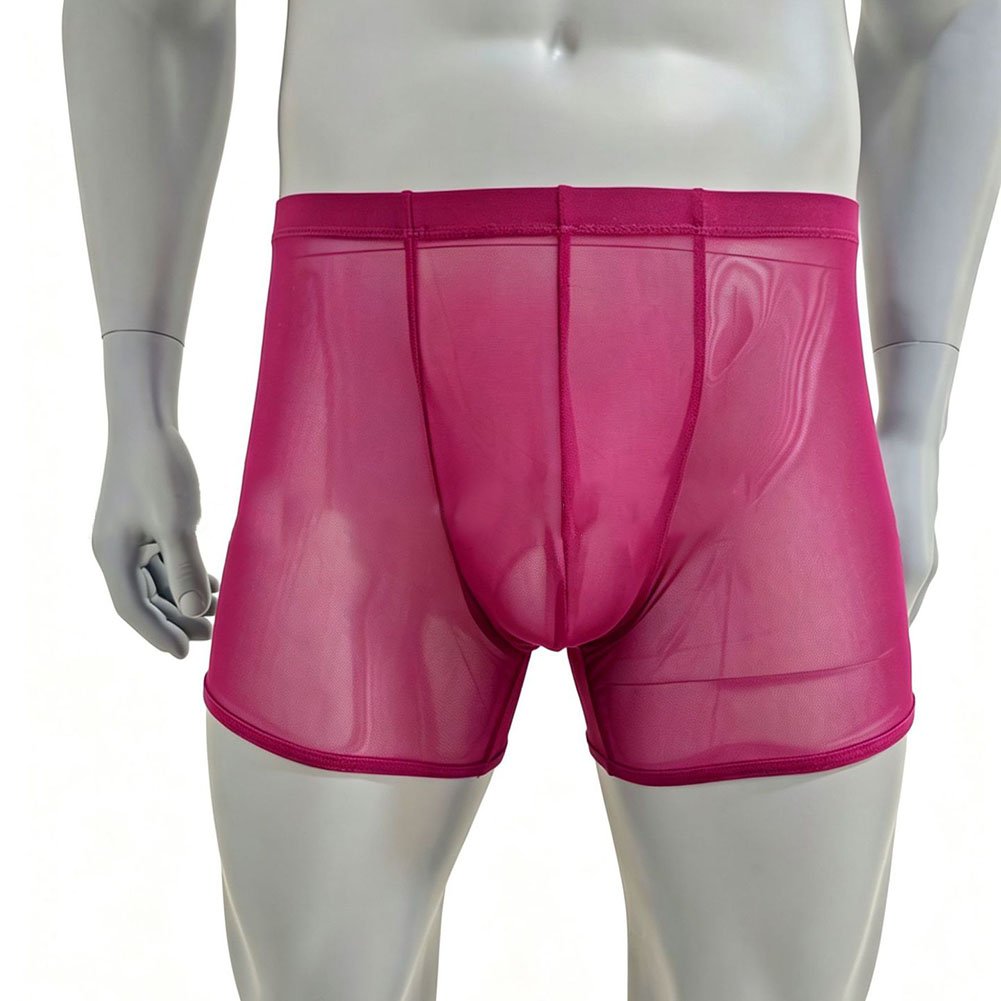 Men Mesh See-through Ultra-thi - Long Leg Trunk Men review and price