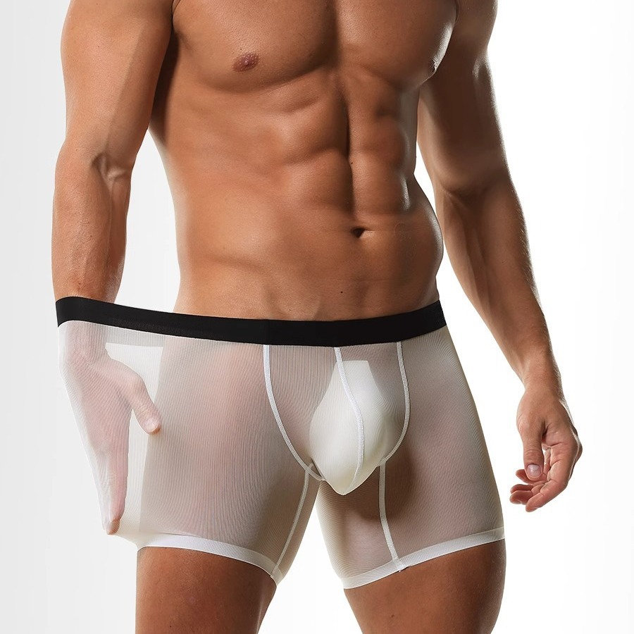 Mens Long Leg Boxer Shorts Ice - Long Leg Trunk Men review and price