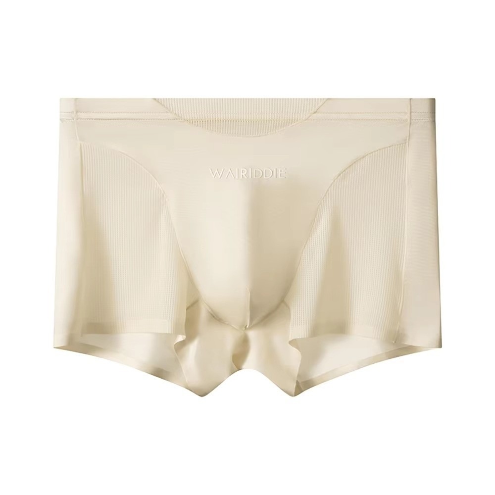 Simple Mesh Ice Silk Underwear - Mesh Sport Boxer review and price