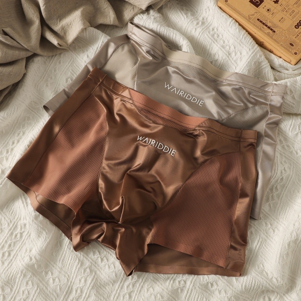 Simple Mesh Ice Silk Underwear - Mesh Sport Boxer review and price